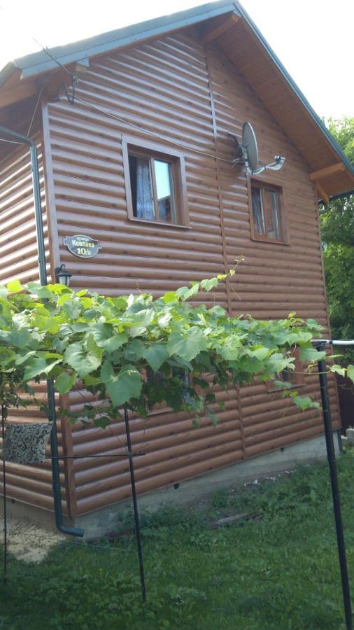 Базилік Hotell Jaremtje Exteriör bild